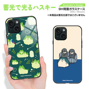 iPhone16e ケース iPhone16 iPhone16Pro iPhone15 iPhone15Pro iPhone14 iPhone14 Pro iPhone14 Plus iPhoneSE 第3世代 iPhone13 iPhone13Pro iPhone12 Pro ガラスケース 背面ガラス 背面 ガラス 強化ガラス TPU 9H イラスト おはん 蓄光