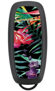 X}[gL[P[X Zi C28 GNXgC T33 TN B6AW AA FE0 L[P[X p[c X}[gL[Jo[ ANZT[ JX^ hXAbv  킢 Y fB[X 