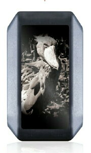 X}[gL[P[X Xy[VAJX^ MK53S SRXeBO[ NXr[ Wj[VG L[P[X p[c L[Jo[ ANZT[ Y fB[X 킢  X}[