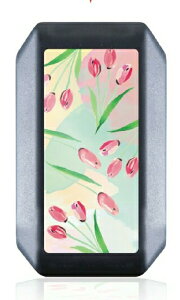 X}[gL[P[X Xy[VAJX^ MK53S SRXeBO[ NXr[ Wj[VG L[P[X p[c L[Jo[ ANZT[ Y fB[X 킢  X}[