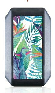 X}[gL[P[X Xy[VAJX^ MK53S SRXeBO[ NXr[ Wj[VG L[P[X p[c L[Jo[ ANZT[ Y fB[X 킢  X}[