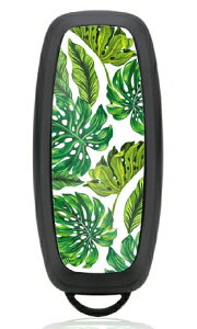 X}[gL[P[X Zi C28 GNXgC T33 TN B6AW AA FE0 L[P[X p[c X}[gL[Jo[ ANZT[ JX^ hXAbv  킢 Y fB[X 