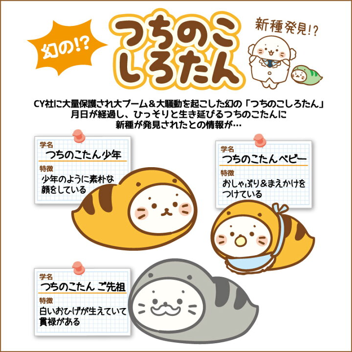 楽天市場】つちのこ しろたん マスコット 【単品】《少年/ベビー/ご 