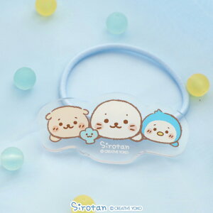 낽 ANwAS sƂt wAANZT[ wAS JWA  fB[X p Mtg v[g  炵 AUV 킢 l LN