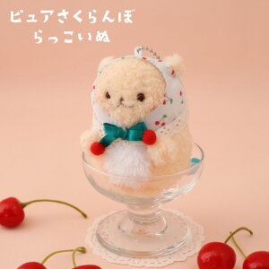 낽 }XRbgL[z_[ yPiz sW[V[/sAځt ʂ L[z_[ }XRbgL[z_[  炵 AUV 킢 LN^