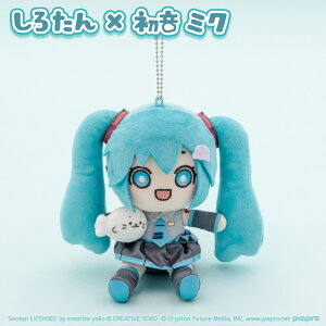 낽×~N R{ L[z_[ }XRbg ʂ