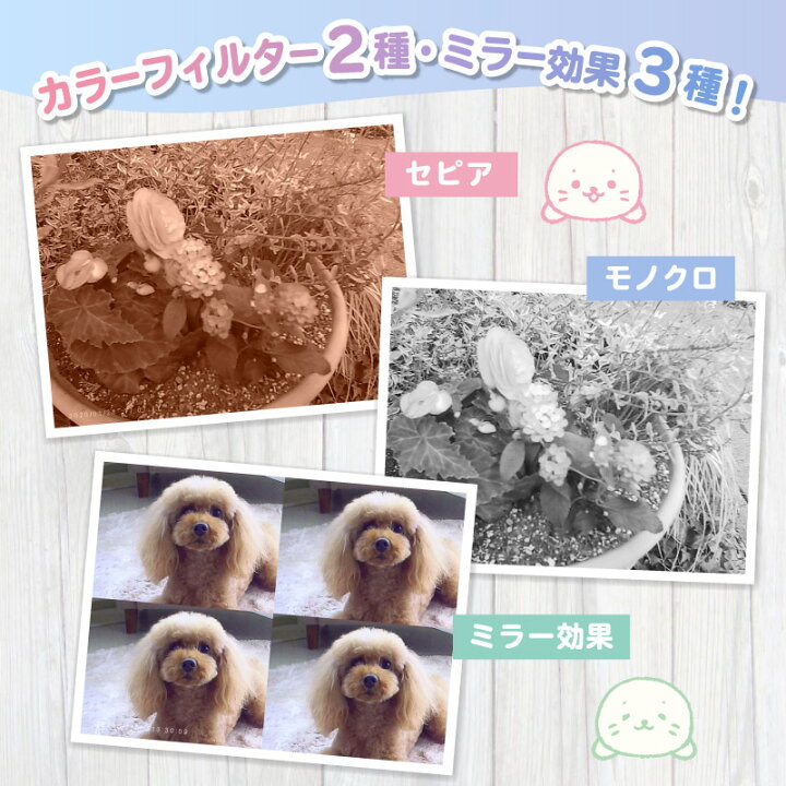 楽天市場 しろたん 初めてのキッズカメラ 専用ケース付き デジタルカメラ トイカメラ 子供用 キッズ 子供用カメラ 女の子 男の子 機能付き Microsd8g付き プレゼント あざらし かわいい キャラクター マザーガーデン 送料無料 しろたんタウン