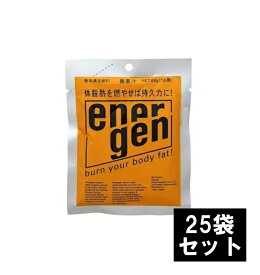 大塚製薬 エネルゲン 1L用粉末【25袋セット】