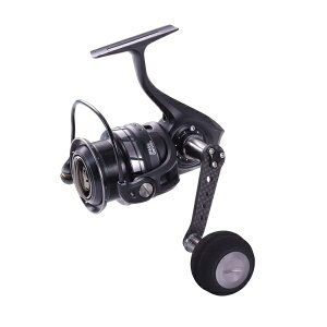 AbuGarcia (AuKVA) ROXANI 3000MSH LT[j nCM \gΉ XsjO[