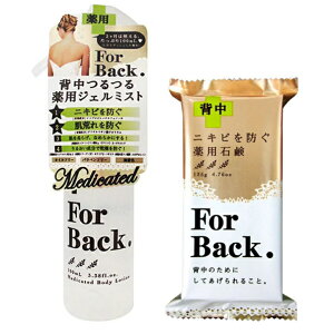 ForBackitH[obNj wWF~Xg 100mL / pΌ ForBackitH[obNj 135g