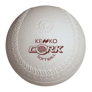iKZPR[(KENKO) VPR[\tg{[1 RNc 1 S1C-NEW