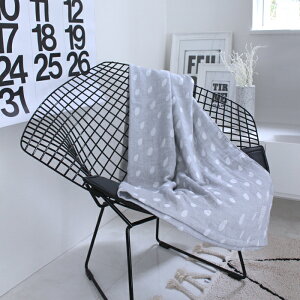 yK[[Pbgzpԗ\@OBLIQUE DROP GAUZEKET/Iu[N hbv K[[Pbg n[tTCY 