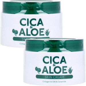 CICAALOE XLN[ 200gy2Zbgznbs[o[X