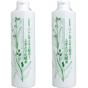 そのまま! ハトムギエキス配合 ふきとり化粧水 300mL【2本セット】シンエイ