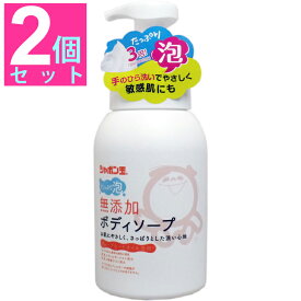 シャボン玉石けん 無添加 ボディソープ たっぷり泡 本体 570mL【2個セット】香料、着色料、酸化防止剤、合成界面活性剤を使用していない無添加石けん 安心安全安い自然天然エコベビー赤ちゃん子供敏感肌