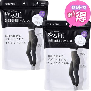 鈳ՔrMX ubN L-LL 1y2ZbgzAՎ߁@2WAYEpMXƂĂp\ Ё@O[oEWp