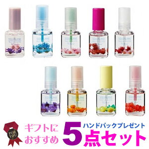 ドライフラワー オイルの人気商品 通販 価格比較 価格 Com ドライフラワー オイルの人気商品 通販 価格比較 価格 Com