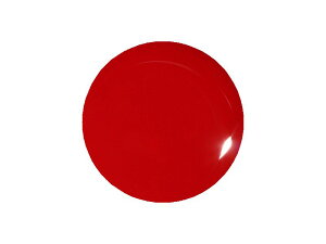 �v���W�F�� �J���[EX ���A�����b�h �J���[�W�F�� UV/LED�Ή� 4g PG-CE-285