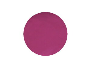 �v���W�F�� �J���[EX ���[�Y���A�[�` �J���[�W�F�� UV/LED�Ή� 4g PG-CE-289