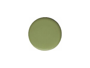 �v���W�F�� �J���[EX �O���C�b�V�����[�t �J���[�W�F�� UV/LED�Ή� 4g PG-CE-304