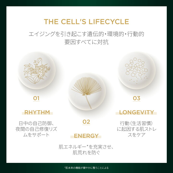 楽天市場】【公式】 シスレー シスレイヤ インテグラル デイ＆ナイト  