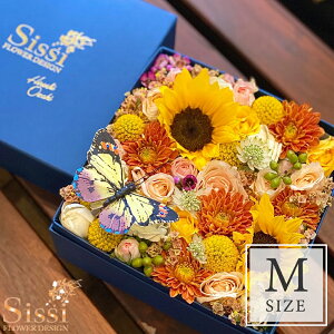 yŒZ ͂ 14܂Łz {bNXt[ MTCY o KN t[AW  t[Mtg   ԑ Mtg AWg t[{bNX j v[g LO 