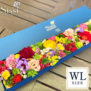 yŒZ ͂ 14܂Łz Mtg ԑ {bNXt[ WL t[AWg  a v[g  FB a  t[Mtg j j LO t