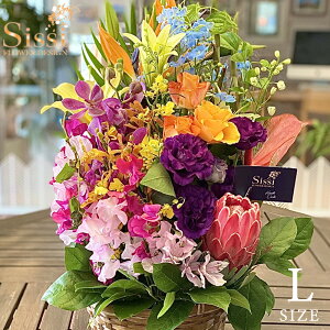 yŒZ ͂ 14܂Łz X^_[hAWg LTCY t[Mtg  J a Mtg av[g     o KN j v[g j JX