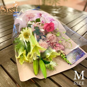 yŒZ ͂ 14܂Łz X^_[hԑ MTCY o t[ KN t[AW t[AWg  t[Mtg  Mtg AW AWg j v