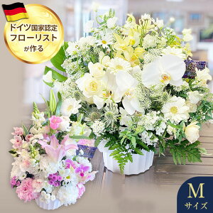 yy13z   AWg MTCY t[AWg    蕨 ̐l 䋟 @  O   {  @v ybg  r