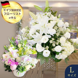 yŒZ ͂ 14܂Łz   AWg LTCY  t[Mtg AWg    ̐l 䋟 @  O   {  l\