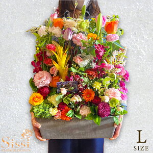 yy13z  Mtg pAWg LTCY t[ t[AW  AW AWg j v[g a ԑ u[P j  \ ސE J