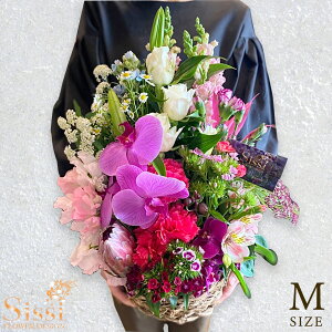 yŒZ ͂ 14܂Łz X^_[hAWg MTCY t[Mtg J JXj a Mtg av[g     o KN S j v[g 