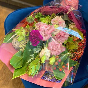 yŒZ ͂ 14܂Łz ԑ Mtg X^_[hԑ STCY t[ o KN t[AW t[AWg  t[Mtg  Mtg AW AWg 