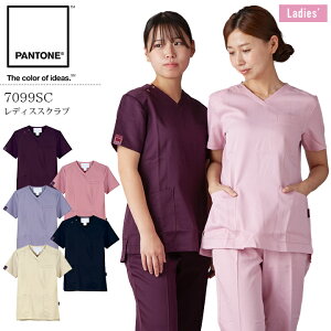 ���f�B�[�X �X�N���u 7099SC �p���g�� �t�H�[�N ��×p ���� �a�@ �Ō�t ��� ���m �N���j�b�N �i�[�X �����p FOLK PANTONE