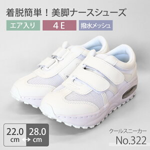 i[XV[Y N[ X[h No.322 Y fB[X GA[NbV  xN a@ Ōt  m NjbN ×p r r p ɂ jp 