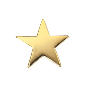 18K 10K ゴールド 片耳用 スター ネームピアス 星 ピアスイニシャルピアス オーダー オリジナル 刻印 名入れ プラチナ 金 イエロー ピンク ホワイト