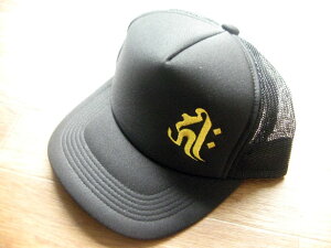  bVLbv cap Lbv hJ Xq a a