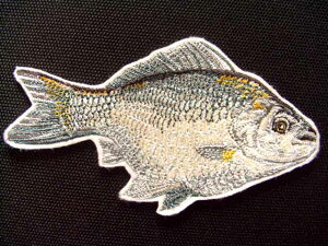 byuwuivylR|XOKzyACڒtzyhJzyނz