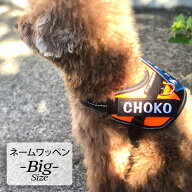 ネーム ワッペン BIG 大きい ネーム ラベル ネーム タグ ワッペン 刺繍 文字 アルファベット 犬 ハーネス…