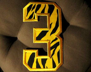 傫ߔwԍbyuՕv by  ^CK[ _ 싅 jtH[