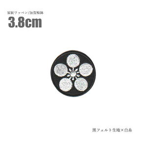 Ɩ䃏by (ۂȂ) ~ 3.8cmƖ by hJ a ~ ~   ACڒ xN