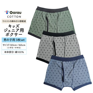 yj̎qz{NT[u[t OJb3g@ b120cm`160cmy{̕F100z