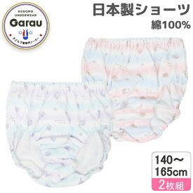 【日本製】【綿100％】ジュニア　ショーツ　2枚組　雑貨総柄　140～165cm　ジュニアショーツ 女児ショーツ パンツ 女児 キッズ 下着 女の子 140 150 160 165