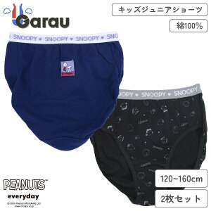 yXk[s[zy̎qzLbYWjAV[c@2g@|Cg/@120`160cmy100z@̎q  pc 120 130 140 150 160