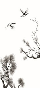  ӂ܎ n@1@fUCi/ӂ/̎q/a/IV/a/a//ʔ)