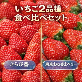 【新春スーパー割引15％オフ】【5,900円⇒4,980円】完熟いちご【東京おひさまベリー・きらぴ香】食べ比べセット（きらぴ香約400g＋東京おひさまベリー約350g／1セットあたり）【送料無料】希少品種 完熟朝採り 贈答 高級 イチゴ 苺 果物 プレゼント 誕生日／