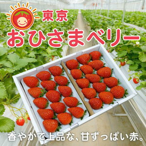 10ItԒI12{܂Łyʏ퉿i6,300~5,670~zuЂ܃x[v2pbN(9`20^1pbNji350g^1pbN )yz  嗱  uh