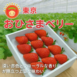 10ItԒI12{܂Łyʏ퉿i3,950~3,550~zuЂ܃x[v(9`20A350g)yz܂̃j[uh C`S  Mtg XC[c ʕ v[