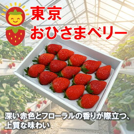 いちご「東京おひさまベリー」★早割10％オフ期間中★12月中旬まで【通常価格3,950円⇒3,550円】(9〜20粒入り、約350g)【送料無料】東京生まれ イチゴ 苺 ギフト 果物 プレゼント 贈り物 お礼品 誕生日 ／楽天スーパーSALE、クリスマス、大晦日、お歳暮、御歳暮、お年賀